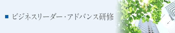 ビジネスリーダー・アドバンス研修